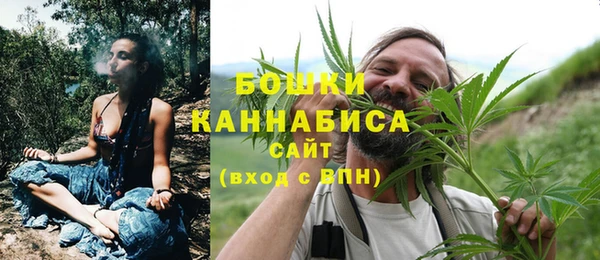 гидропоника Дмитриев
