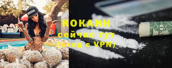 ALPHA PVP Гусев